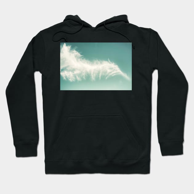 Feather Cloud Hoodie by Debra Cox 